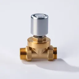 Electronic Expansion Valve
